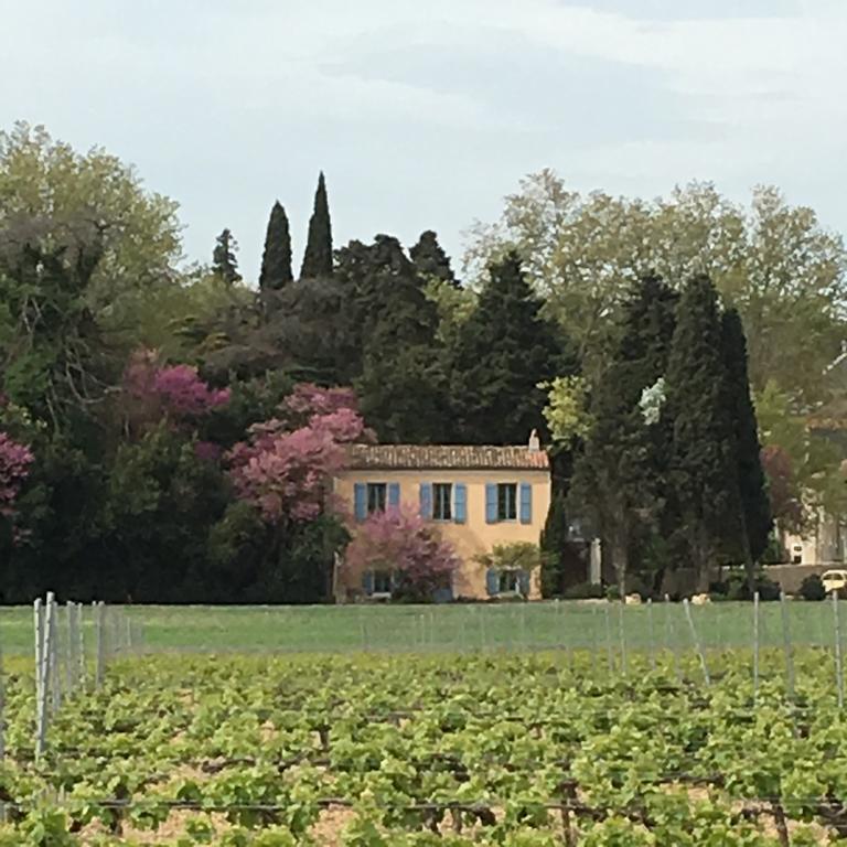 Chateau Pech-Celeyran Salles-d'Aude Exterior photo